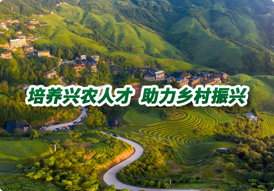 內(nèi)訓(xùn)團隊
